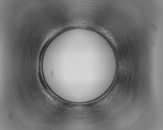 X0000111140578200906301019