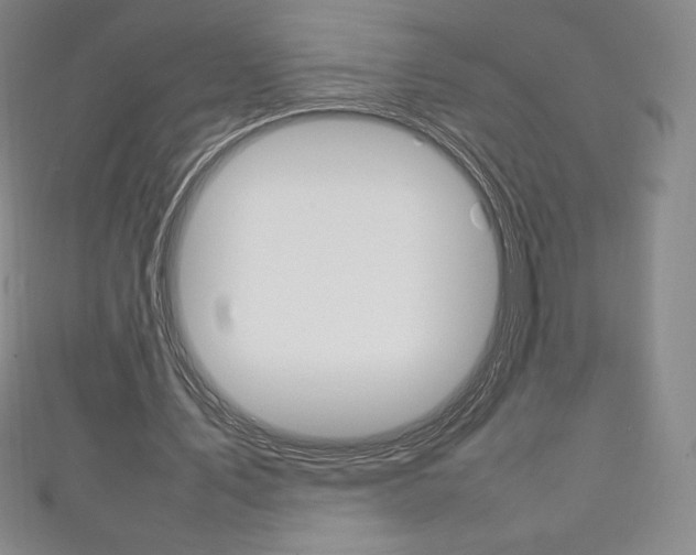 X0000111140579200906301019