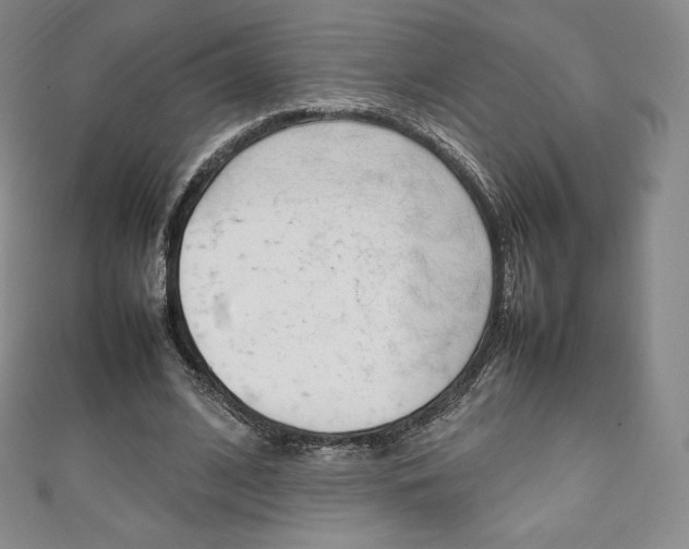 X0000111140584200906301019