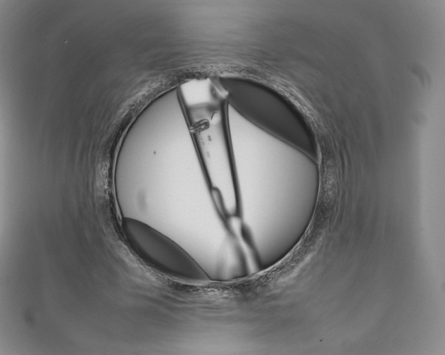 X0000111140585200906301019