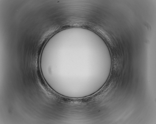 X0000111140586200906301019
