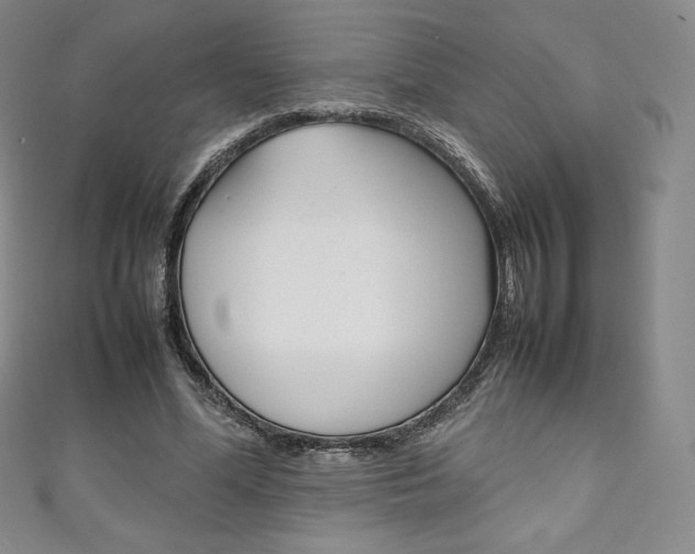 X0000111140588200906301018