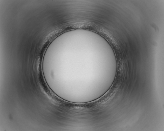 X0000111140590200906301018
