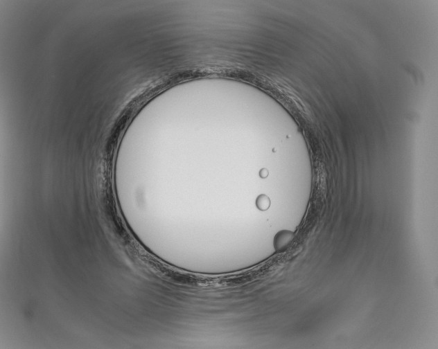 X0000111140591200906301018