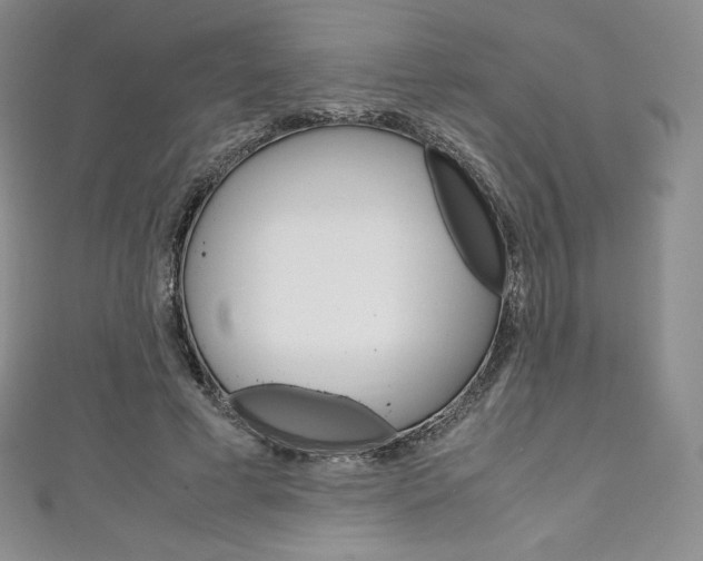 X0000111140593200906301018