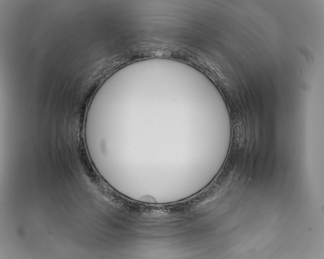 X0000111140594200906301018