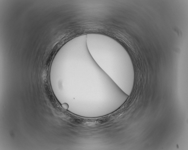 X0000111140595200906301018