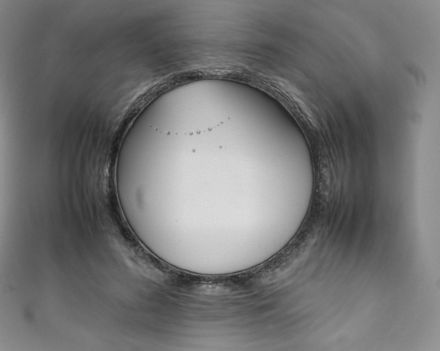 X0000111140596200906301018