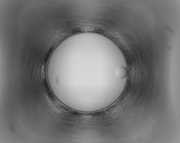 X0000111140598200906301018
