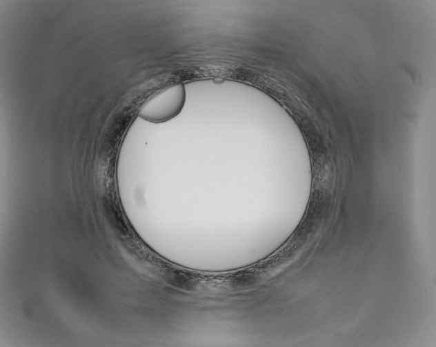 X0000111140599200906301018