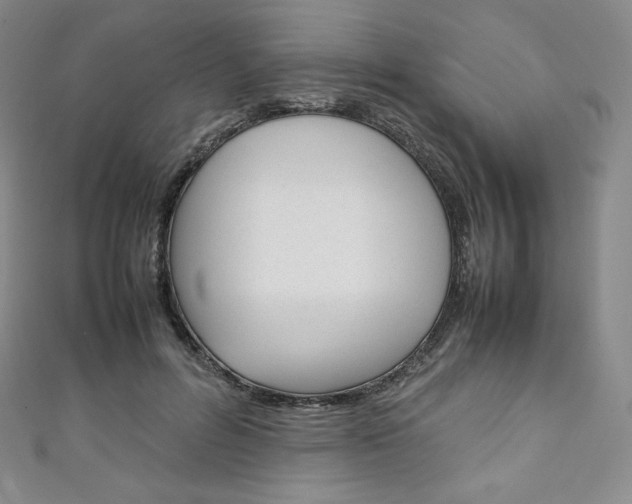 X0000111140600200906301018