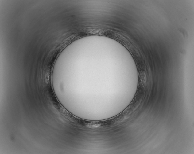 X0000111140602200906301018