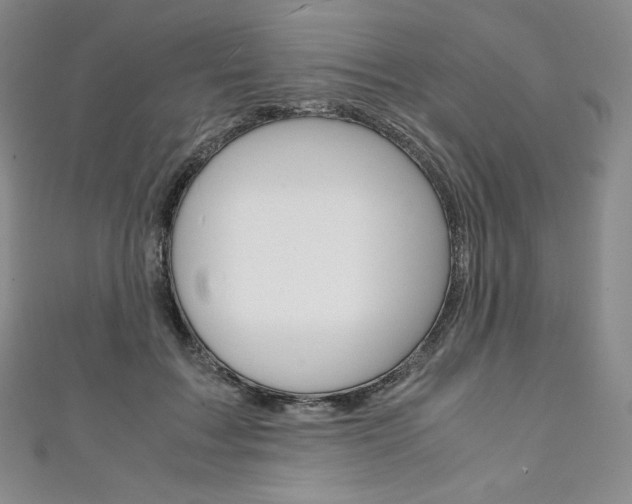 X0000111140603200906301018