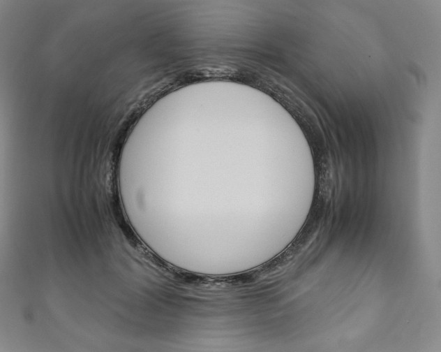 X0000111140604200906301018