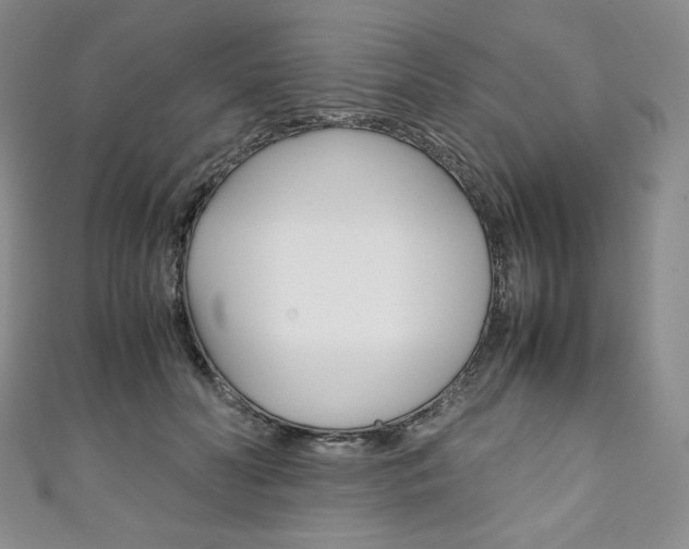 X0000111140606200906301018