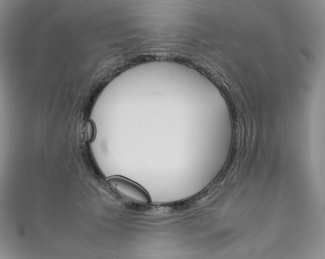 X0000111140609200906301018