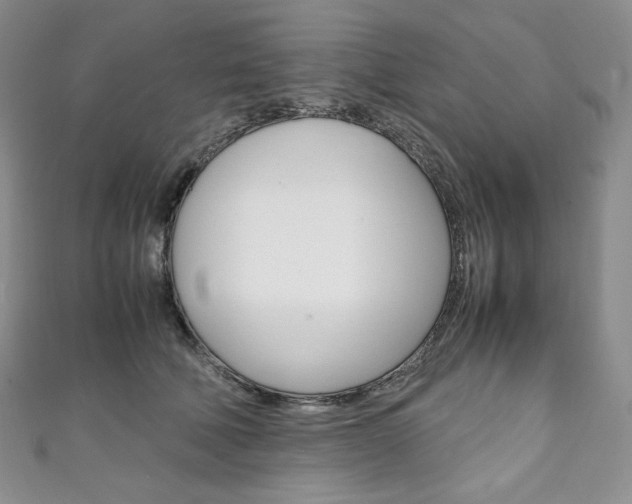 X0000111140610200906301018