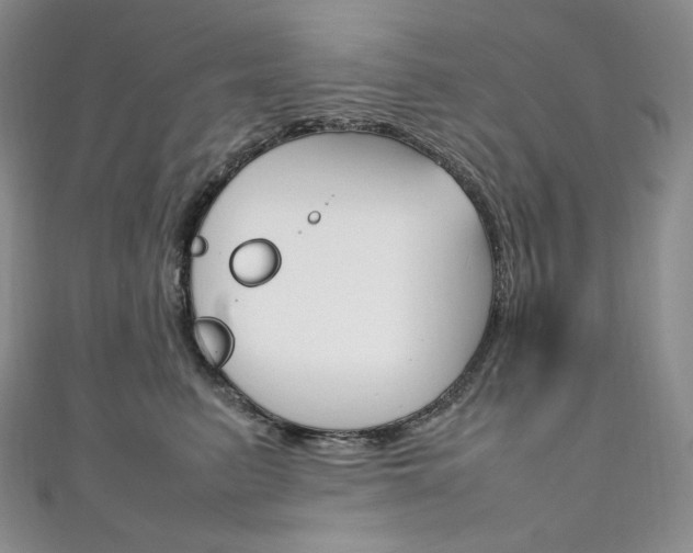 X0000111140615200906301018
