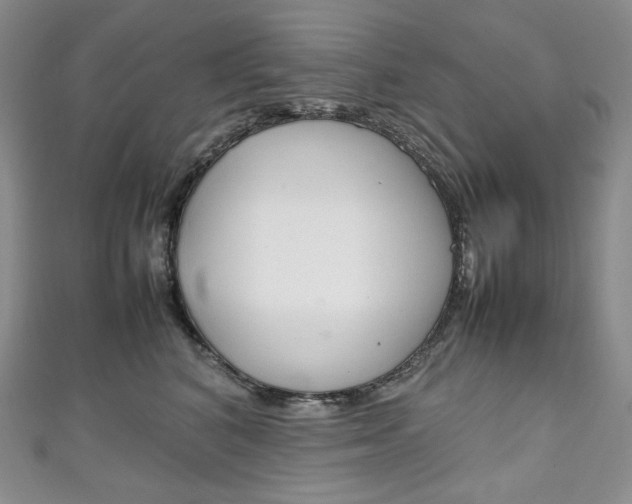 X0000111140616200906301018