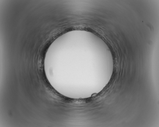 X0000111140619200906301018