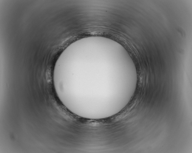 X0000111140620200906301018