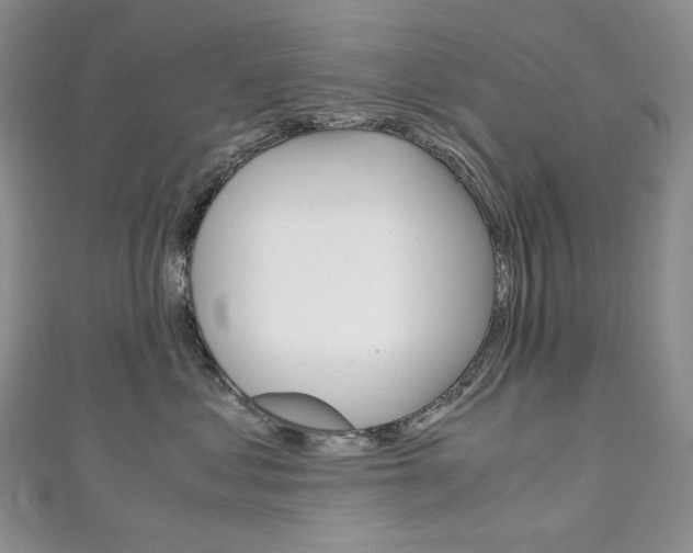 X0000111140621200906301018