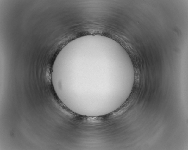 X0000111140622200906301018
