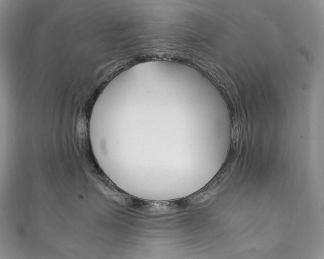 X0000111140623200906301018