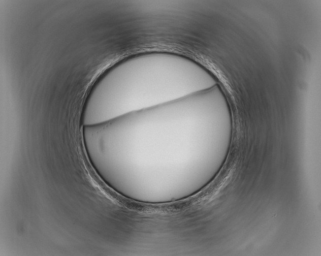 X0000111140625200906301017