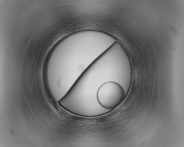X0000111140626200906301017