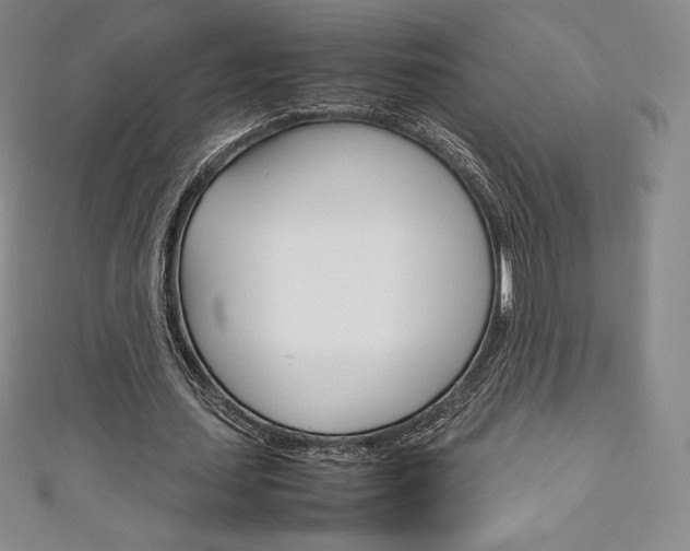 X0000111140627200906301017
