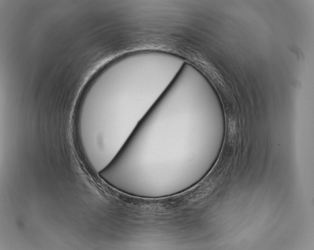 X0000111140628200906301017