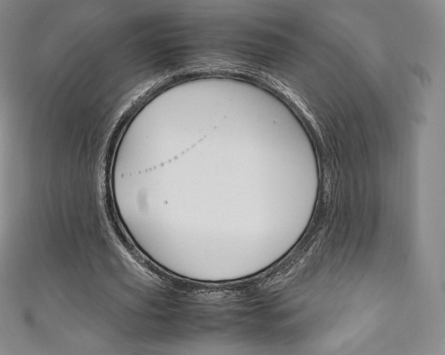 X0000111140629200906301017