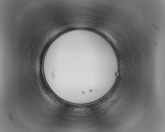 X0000111140631200906301017