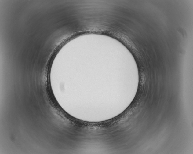 X0000111140632200906301017