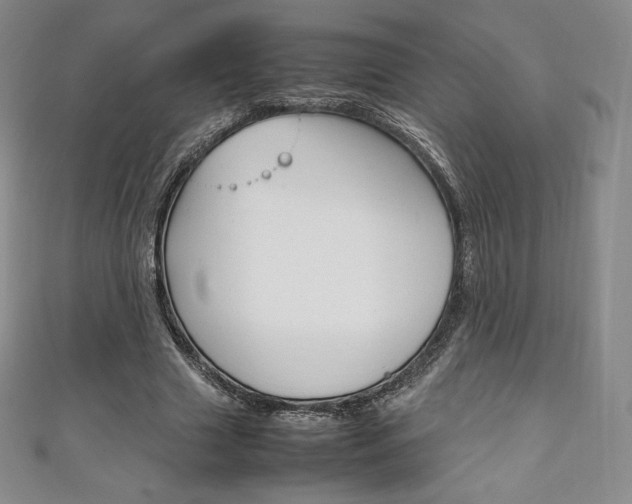 X0000111140633200906301018
