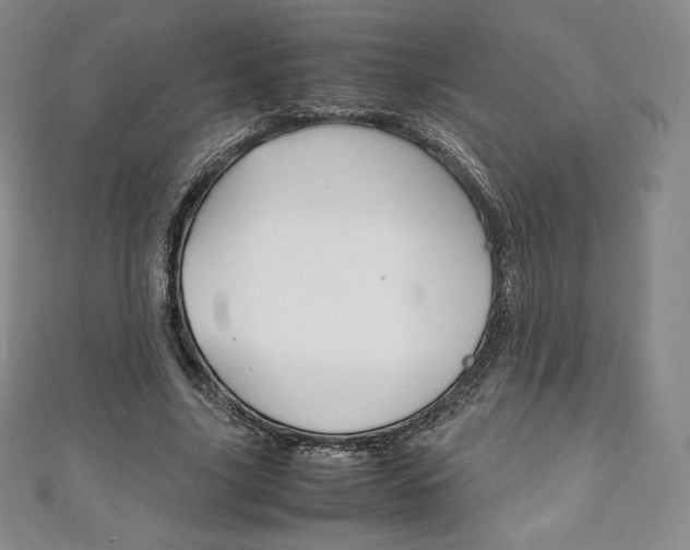 X0000111140635200906301018