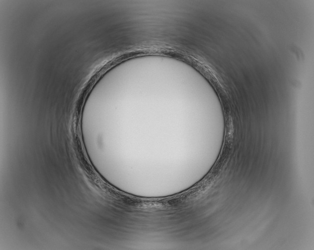 X0000111140636200906301018