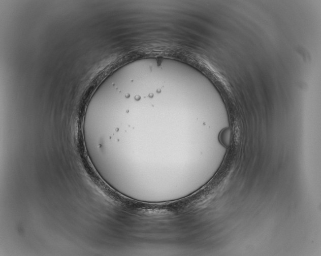 X0000111140637200906301018
