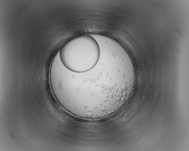 X0000111140639200906301018