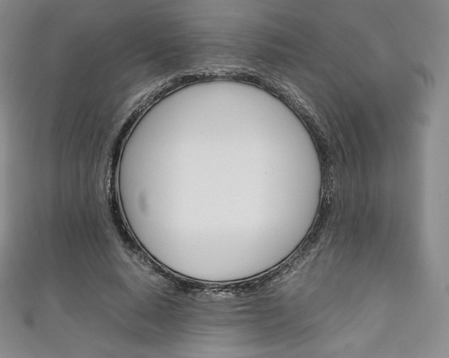 X0000111140640200906301018