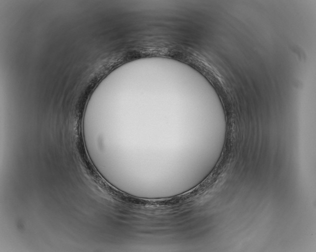 X0000111140641200906301018