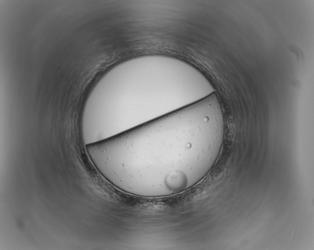 X0000111140642200906301018