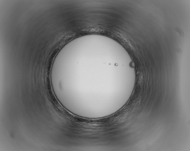 X0000111140643200906301018