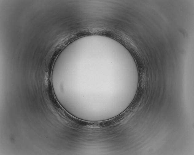 X0000111140644200906301018