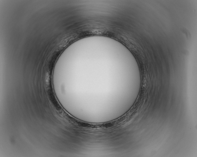 X0000111140646200906301018