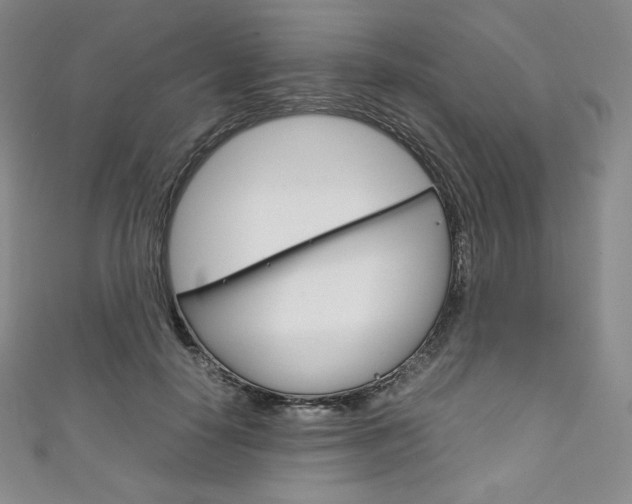 X0000111140650200906301018