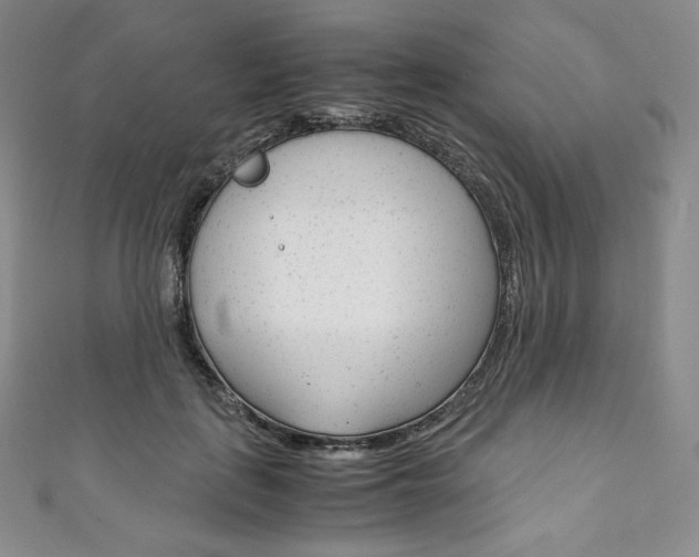 X0000111140651200906301018