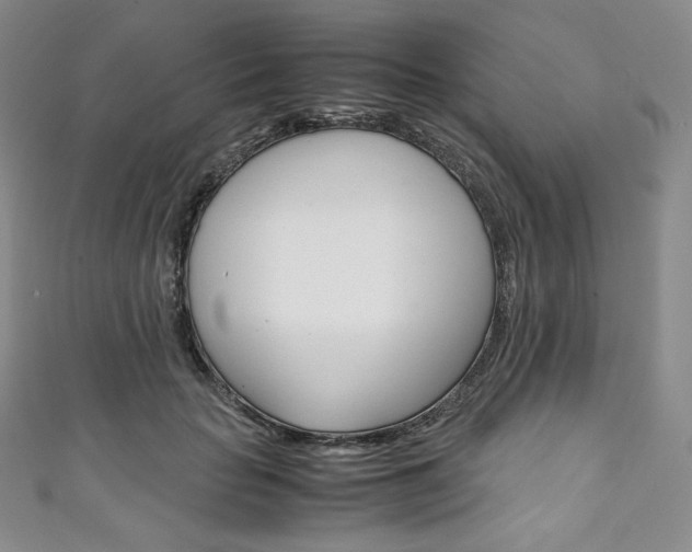 X0000111140653200906301018