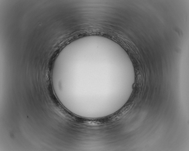 X0000111140654200906301018